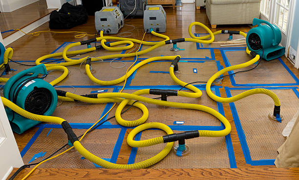 Professional Storm Water Damage Restoration technician working in Twin Lake, MI